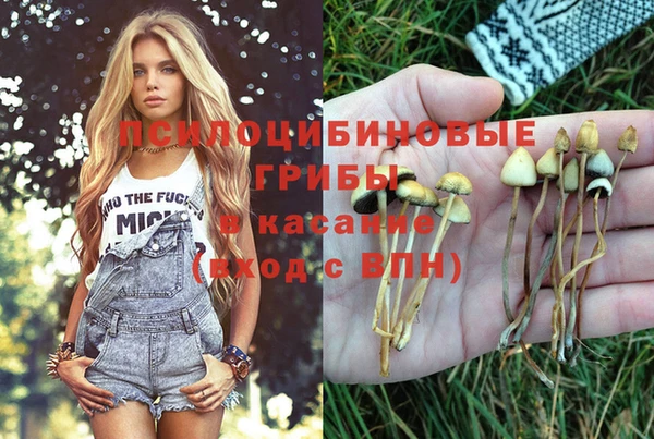 МДПВ Алексеевка