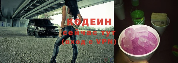 шишки Новодвинск