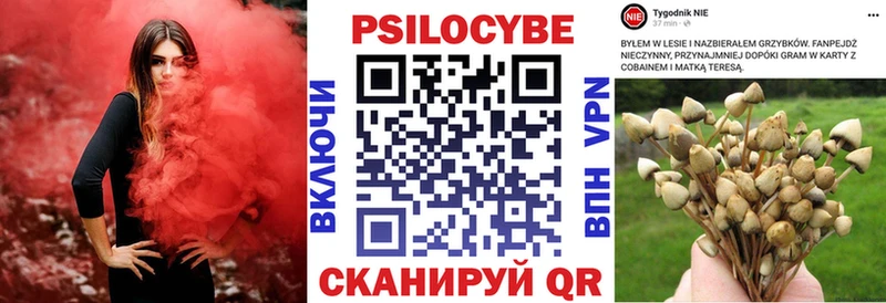 Галлюциногенные грибы MAGIC MUSHROOMS купить Нижние Серги